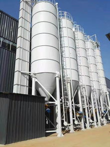 德兴瓷砖胶厂家供应——佛山市托肯建材有限责任公司，专注家具家居高品质建材